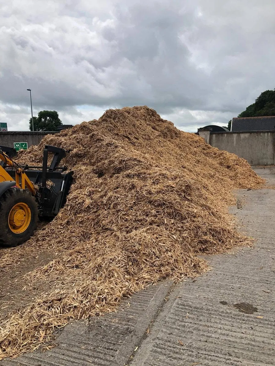 Butt chip woody offcut used for equestrian surface applications